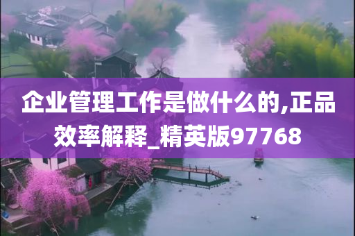 企业管理工作是做什么的,正品效率解释_精英版97768