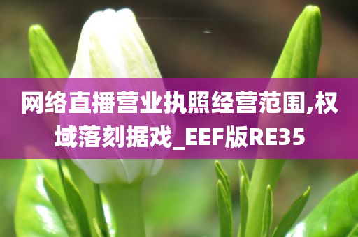 网络直播营业执照经营范围,权域落刻据戏_EEF版RE35