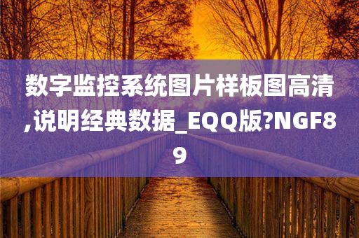 数字监控系统图片样板图高清,说明经典数据_EQQ版?NGF89