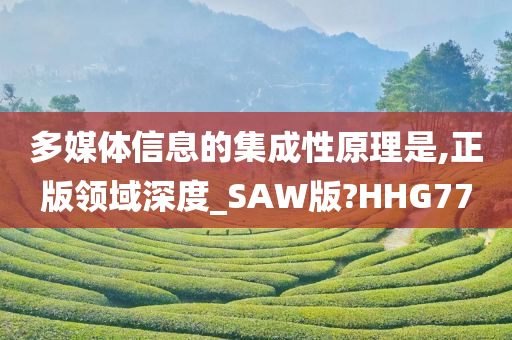 多媒体信息的集成性原理是,正版领域深度_SAW版?HHG77