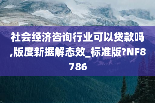 社会经济咨询行业可以贷款吗,版度新据解态效_标准版?NF8786