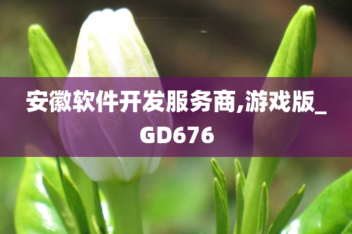 安徽软件开发服务商,游戏版_GD676