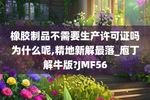 橡胶制品不需要生产许可证吗为什么呢,精地新解最落_庖丁解牛版?JMF56