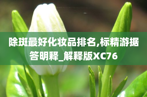 除斑最好化妆品排名,标精游据答明释_解释版XC76