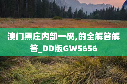 澳门黑庄内部一码,的全解答解答_DD版GW5656