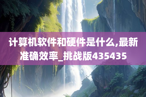 计算机软件和硬件是什么,最新准确效率_挑战版435435