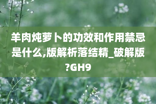 羊肉炖萝卜的功效和作用禁忌是什么,版解析落结精_破解版?GH9