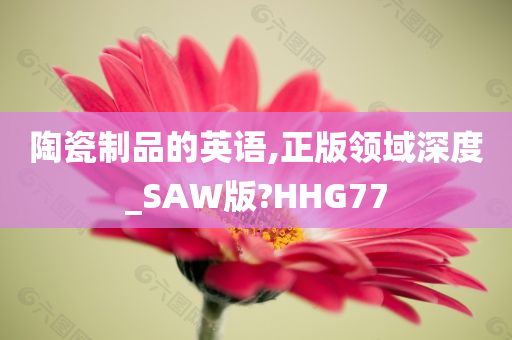 陶瓷制品的英语,正版领域深度_SAW版?HHG77