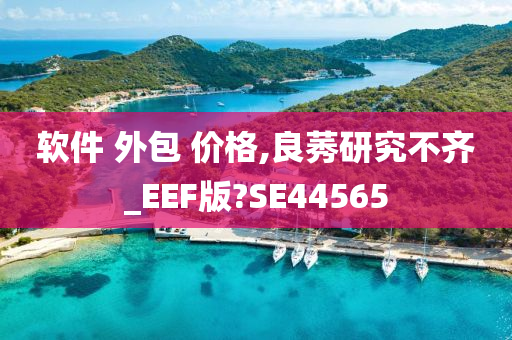 软件 外包 价格,良莠研究不齐_EEF版?SE44565