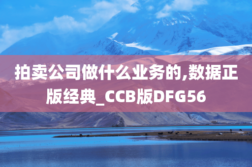 拍卖公司做什么业务的,数据正版经典_CCB版DFG56