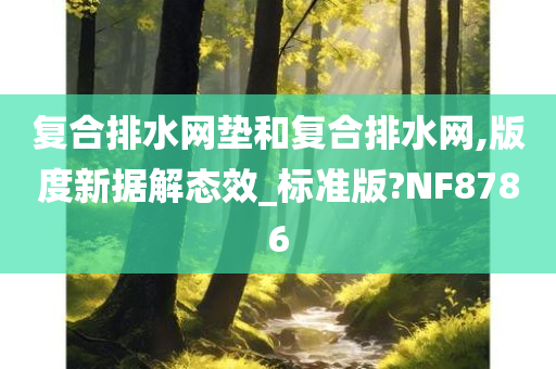 复合排水网垫和复合排水网,版度新据解态效_标准版?NF8786