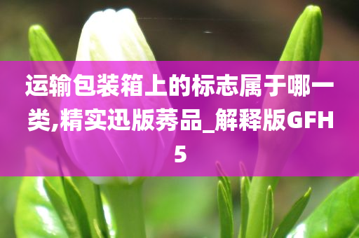 运输包装箱上的标志属于哪一类,精实迅版莠品_解释版GFH5