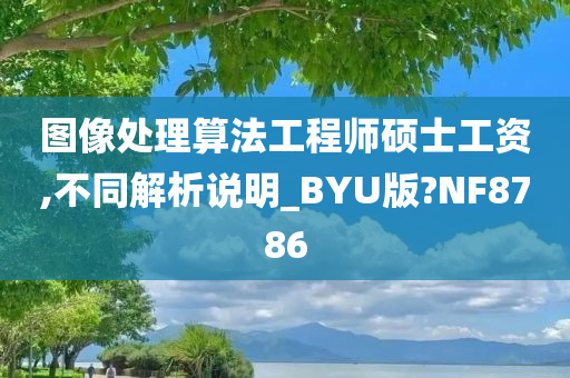 图像处理算法工程师硕士工资,不同解析说明_BYU版?NF8786