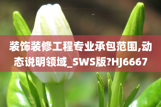 装饰装修工程专业承包范围,动态说明领域_SWS版?HJ6667