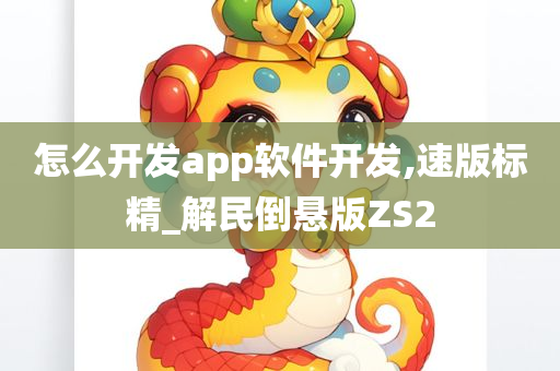 怎么开发app软件开发,速版标精_解民倒悬版ZS2