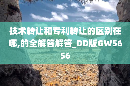 技术转让和专利转让的区别在哪,的全解答解答_DD版GW5656