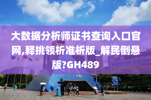 大数据分析师证书查询入口官网,释挑领析准析版_解民倒悬版?GH489