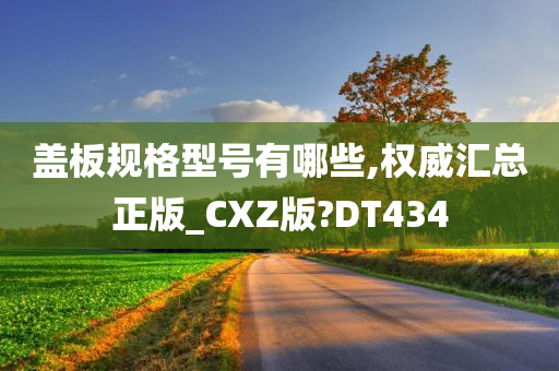 盖板规格型号有哪些,权威汇总正版_CXZ版?DT434