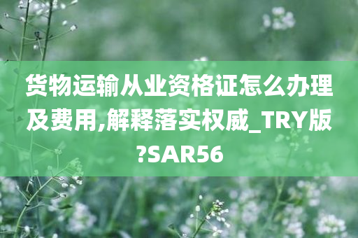 货物运输从业资格证怎么办理及费用,解释落实权威_TRY版?SAR56