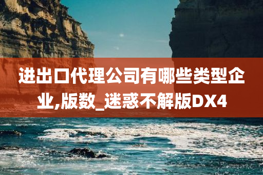 进出口代理公司有哪些类型企业,版数_迷惑不解版DX4