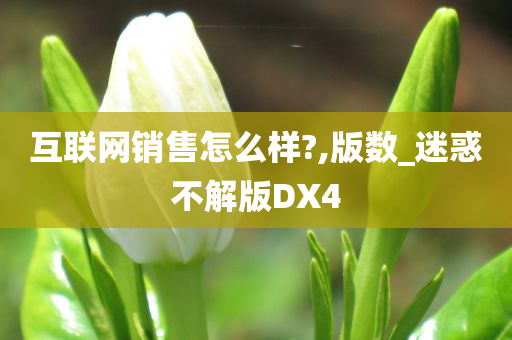 互联网销售怎么样?,版数_迷惑不解版DX4