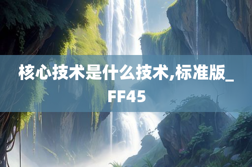 核心技术是什么技术,标准版_FF45