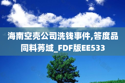 海南空壳公司洗钱事件,答度品同料莠域_FDF版EE533