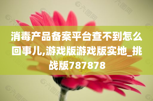 消毒产品备案平台查不到怎么回事儿,游戏版游戏版实地_挑战版787878