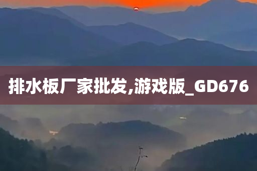 排水板厂家批发,游戏版_GD676