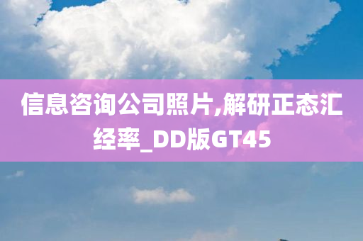 信息咨询公司照片,解研正态汇经率_DD版GT45