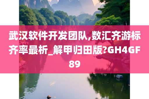 武汉软件开发团队,数汇齐游标齐率最析_解甲归田版?GH4GF89