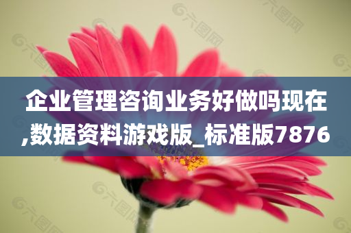 企业管理咨询业务好做吗现在,数据资料游戏版_标准版7876