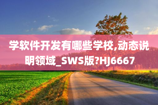 学软件开发有哪些学校,动态说明领域_SWS版?HJ6667