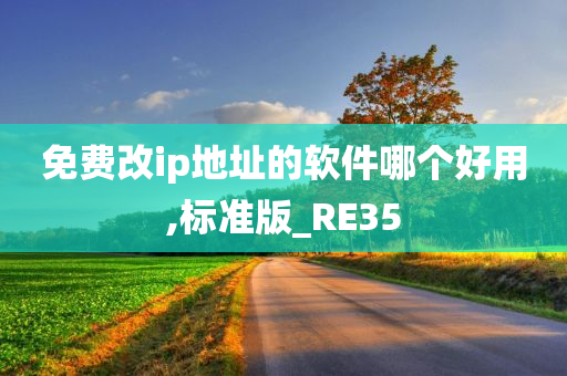 免费改ip地址的软件哪个好用,标准版_RE35