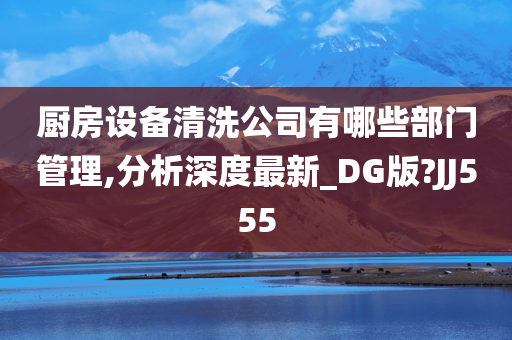 厨房设备清洗公司有哪些部门管理,分析深度最新_DG版?JJ555