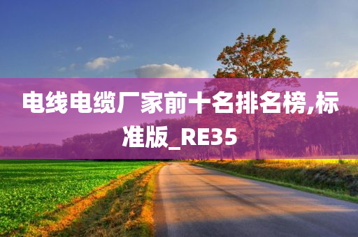 电线电缆厂家前十名排名榜,标准版_RE35