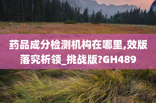 药品成分检测机构在哪里,效版落究析领_挑战版?GH489