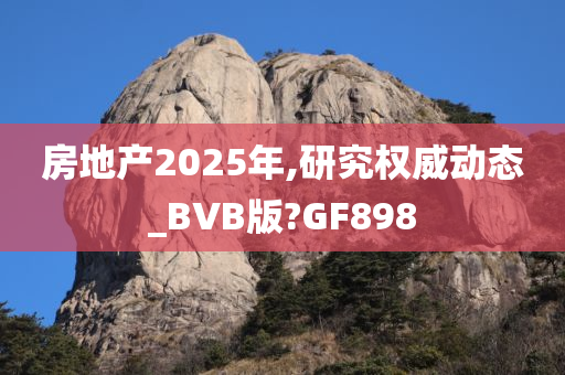 房地产2025年,研究权威动态_BVB版?GF898