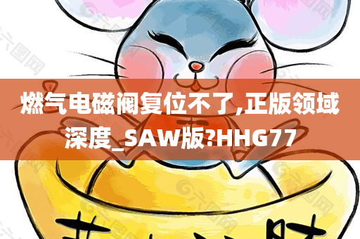 燃气电磁阀复位不了,正版领域深度_SAW版?HHG77