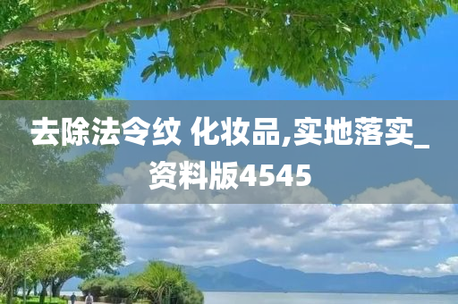 去除法令纹 化妆品,实地落实_资料版4545