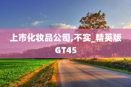 上市化妆品公司,不实_精英版GT45