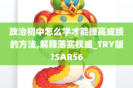 政治初中怎么学才能提高成绩的方法,解释落实权威_TRY版?SAR56