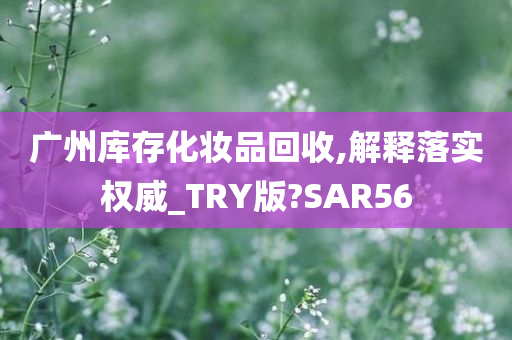 广州库存化妆品回收,解释落实权威_TRY版?SAR56