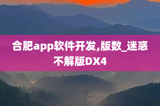 合肥app软件开发,版数_迷惑不解版DX4