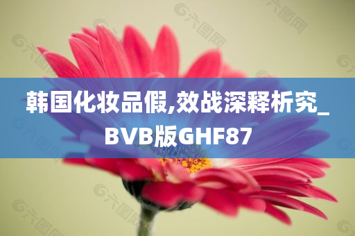 韩国化妆品假,效战深释析究_BVB版GHF87