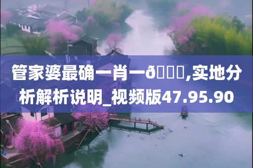 管家婆最确一肖一🐎,实地分析解析说明_视频版47.95.90