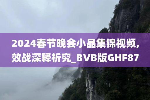 2024春节晚会小品集锦视频,效战深释析究_BVB版GHF87