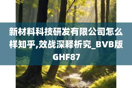 新材料科技研发有限公司怎么样知乎,效战深释析究_BVB版GHF87