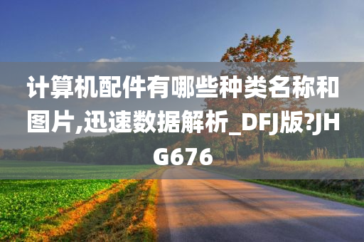 计算机配件有哪些种类名称和图片,迅速数据解析_DFJ版?JHG676