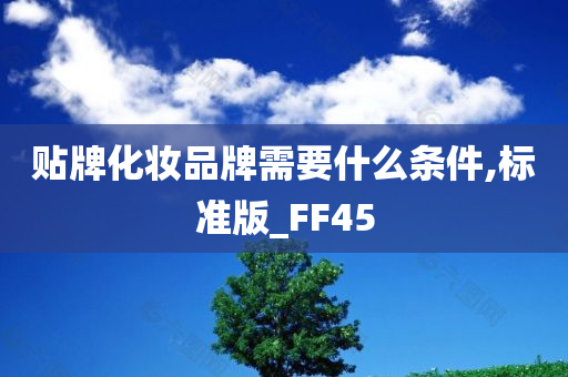 贴牌化妆品牌需要什么条件,标准版_FF45